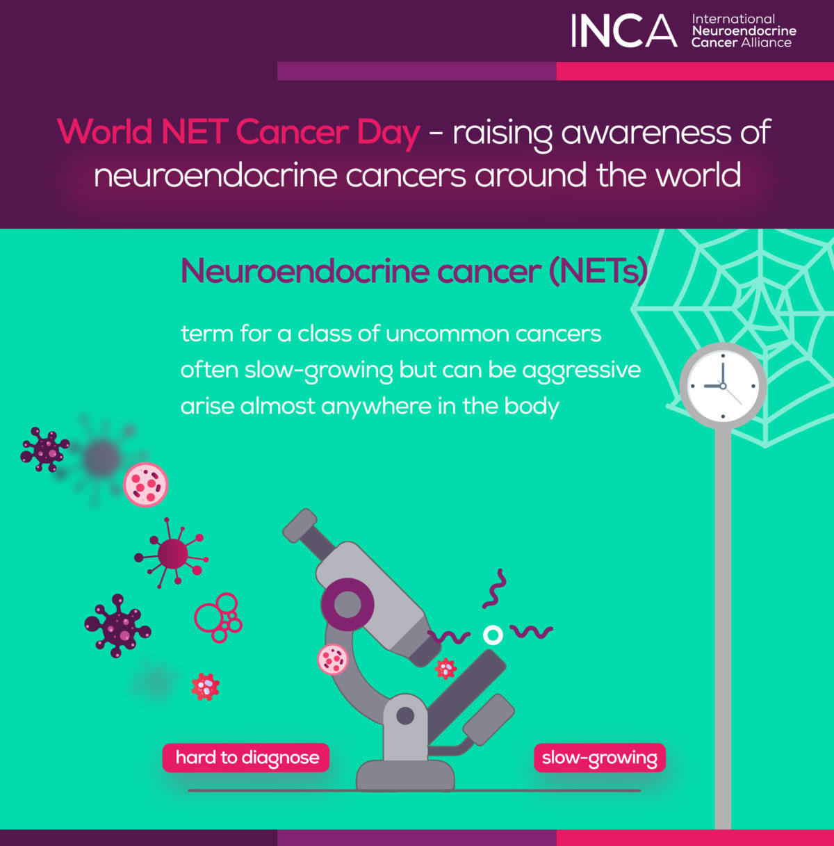 NET AWARENESS RESOURCES